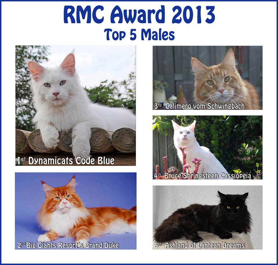 RMC Award 2013 Katers