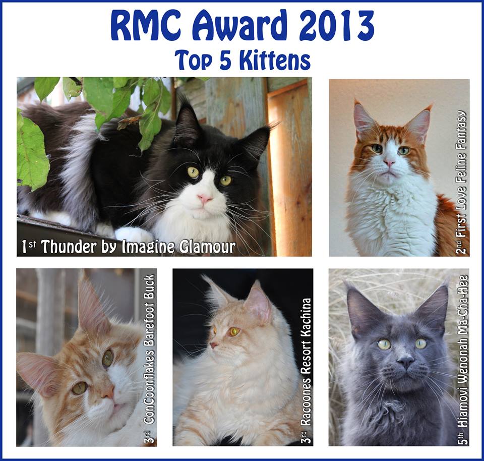 RMC Award 2013 Kittens