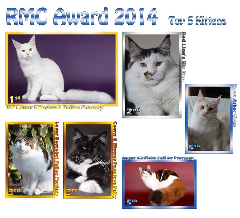 RMC Award 2014 Kittens